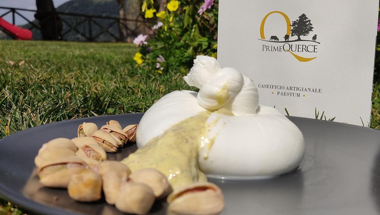 Primequerce Villa Paestum Dış mekan fotoğraf